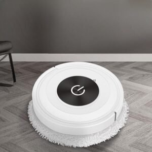 Automatic ground cleaner